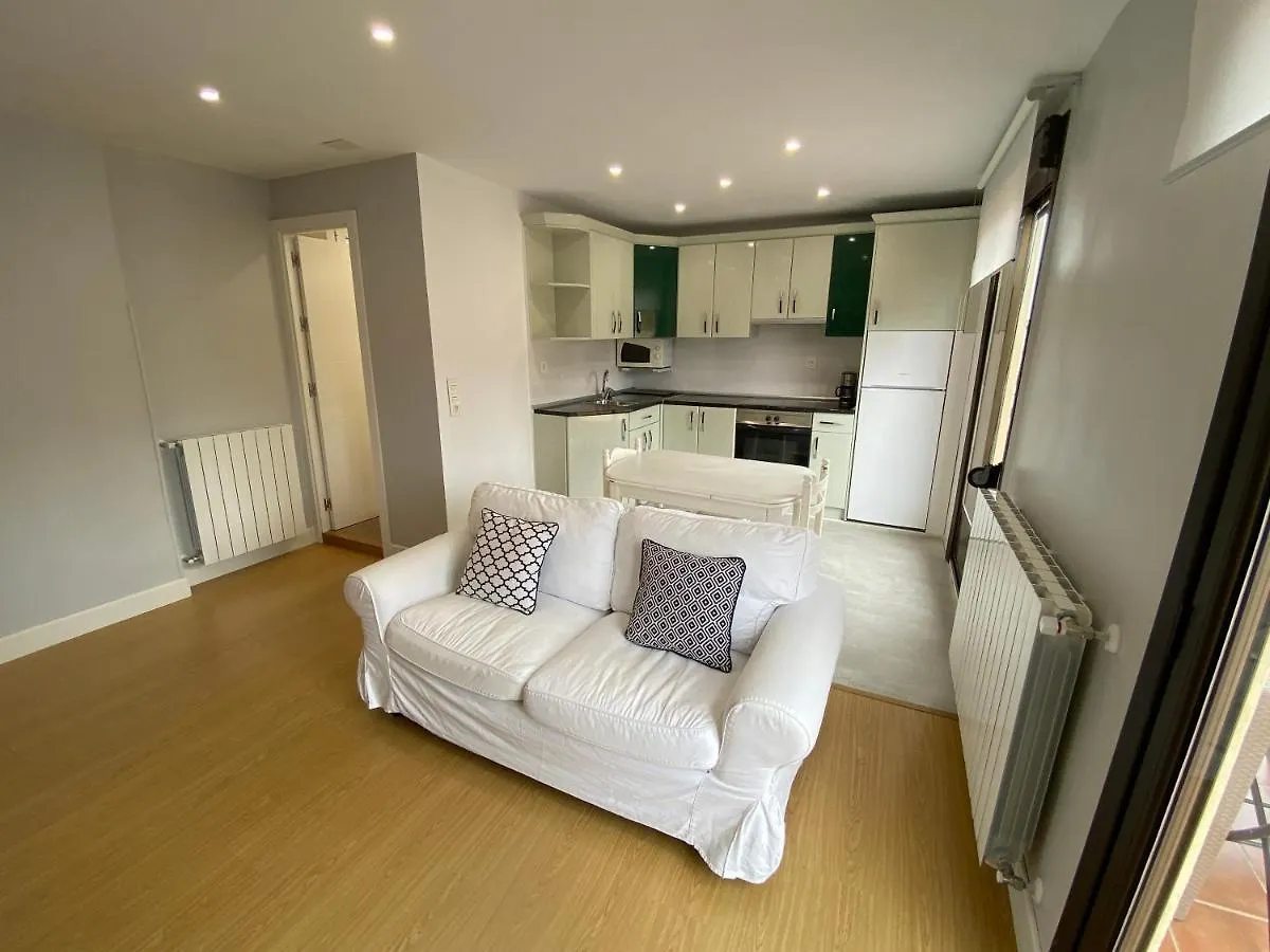 Beautiful Apartment Ondarreta Beach San Sebastian